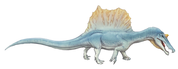 川崎悟司イラスト集 スピノサウルス Spinosaurus